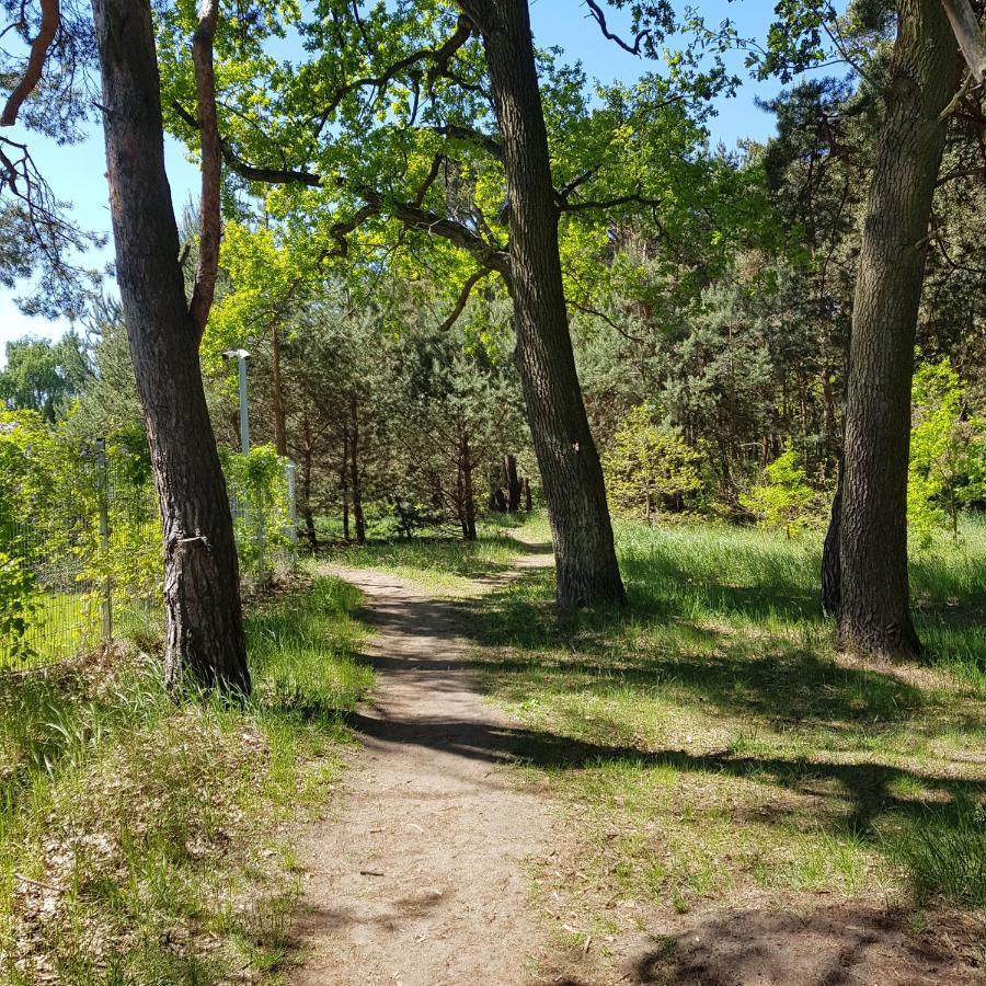 גדנסק Jpapartments Nadmorski Park מראה חיצוני תמונה